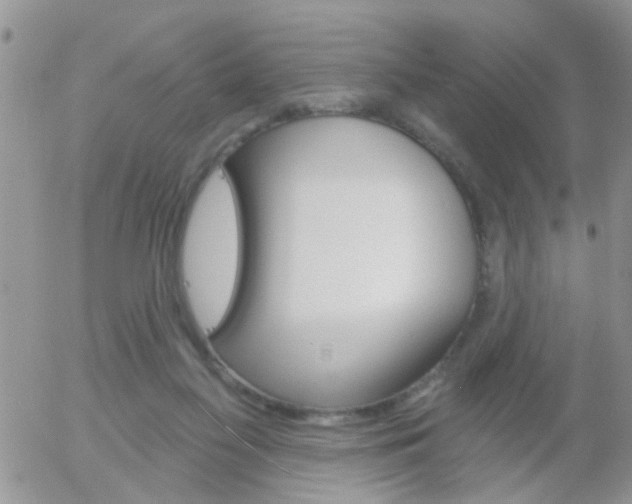 X0000058120117200509230806