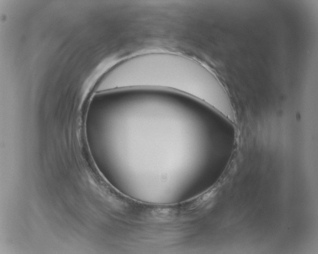X0000058120152200509230804