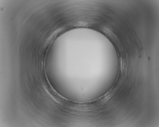 X0000058120157200509230805
