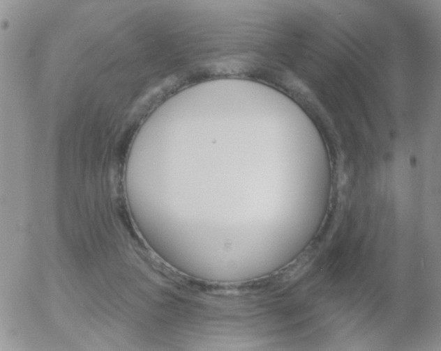 X0000058120161200509230805