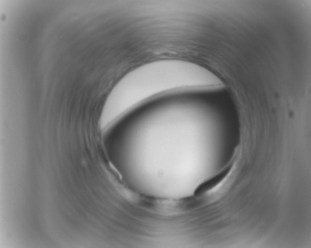 X0000058120192200509230805