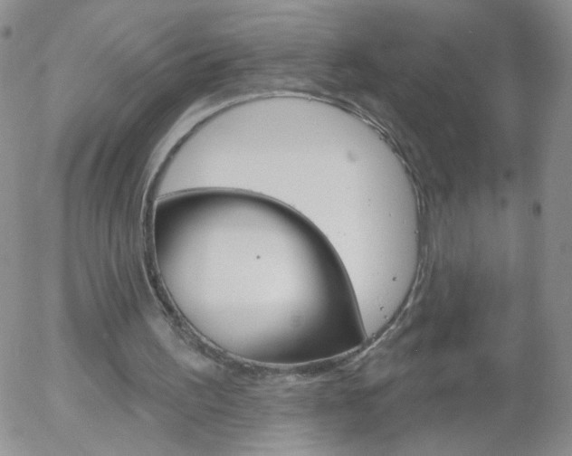 X0000058120195200509230804