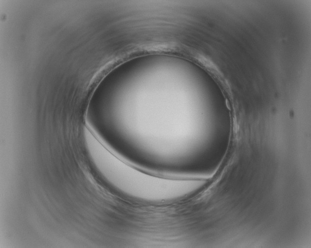 X0000058120201200509230804