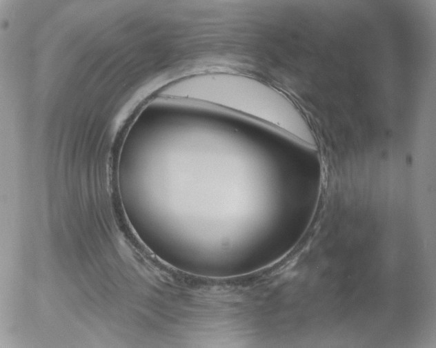 X0000058120244200509230803