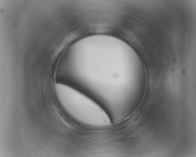 X0000058120251200509230803