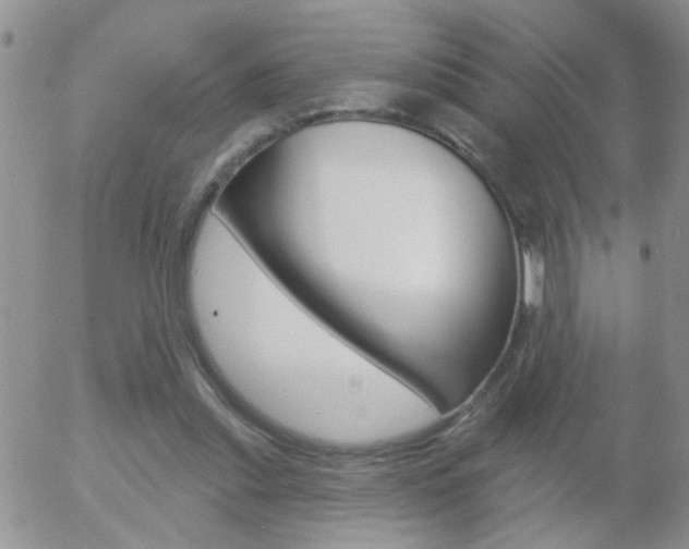X0000058120253200509230803