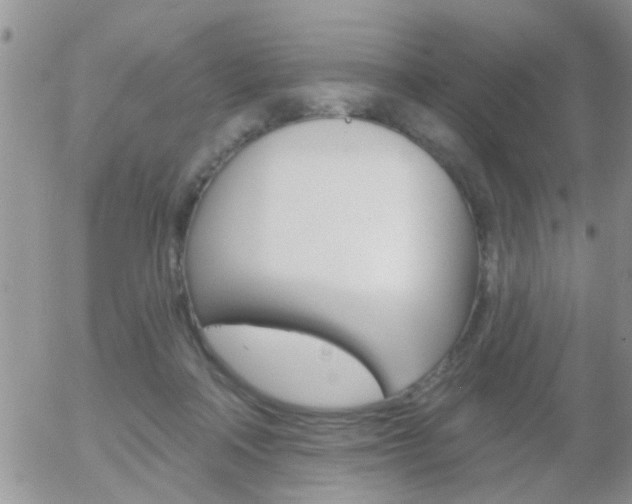 X0000058120314200509230802