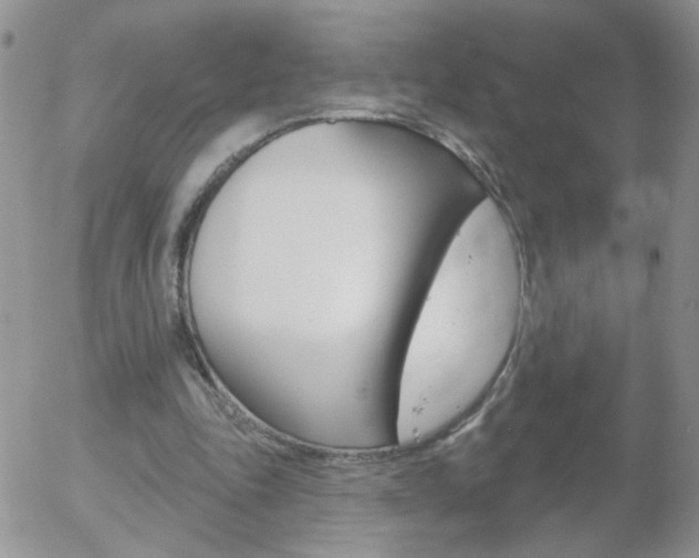 X0000058120343200509230801