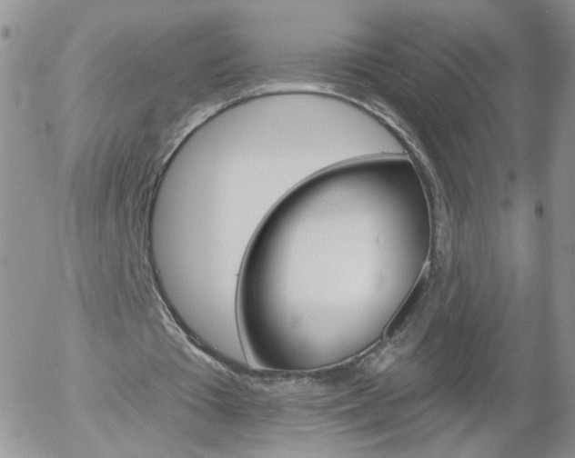 X0000058120385200509230801