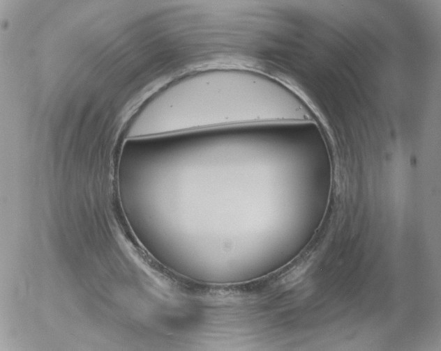 X0000058120437200509230800