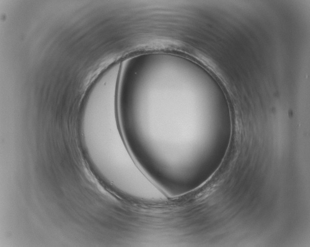 X0000058120485200509230759
