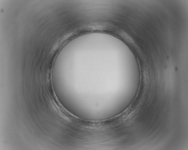 X0000058120537200509230758