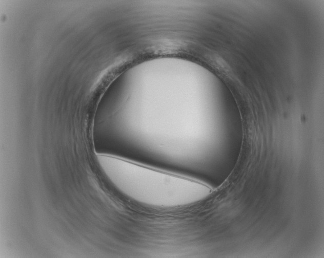 X0000058120543200509230758