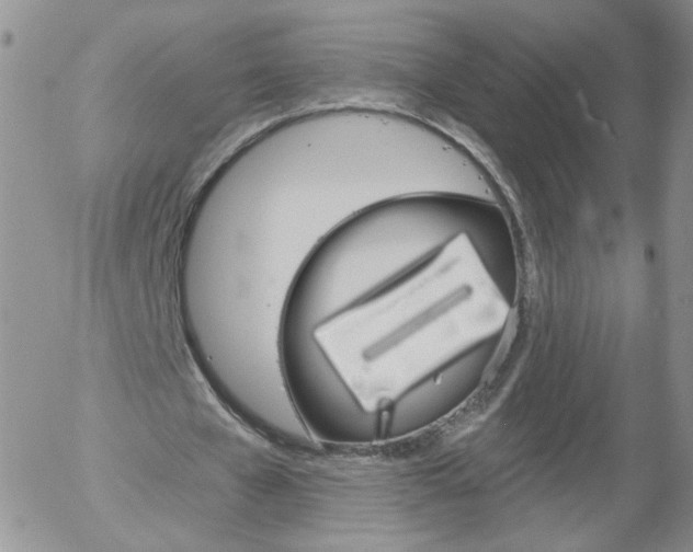X0000058120577200509230758