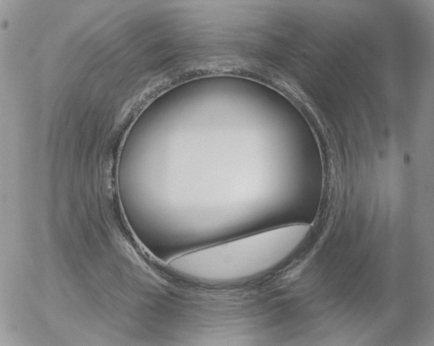 X0000058120585200509230758