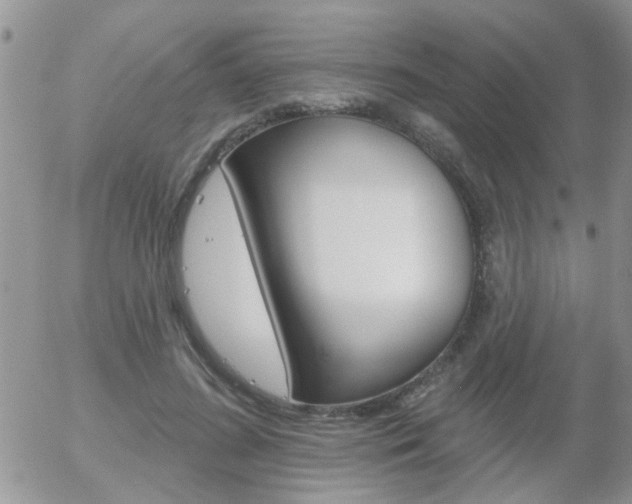 X0000058120596200509230758