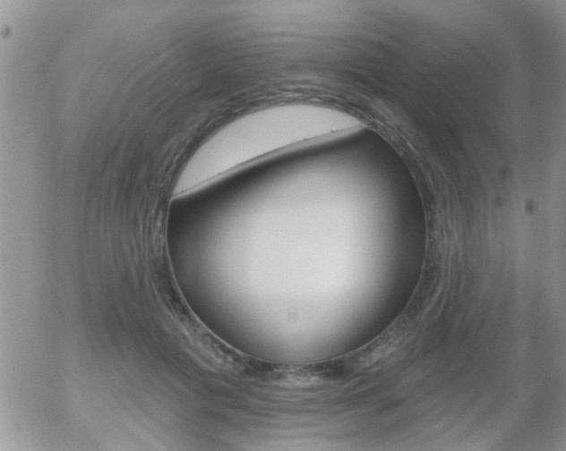 X0000058120601200509230758