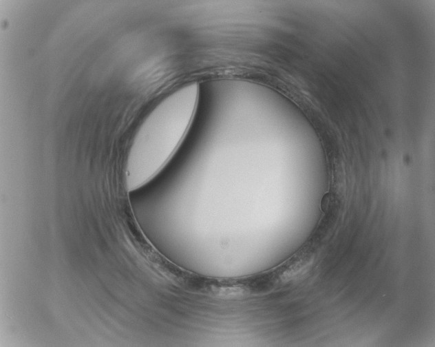 X0000058120645200509230757