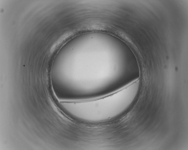 X0000058120677200509230756