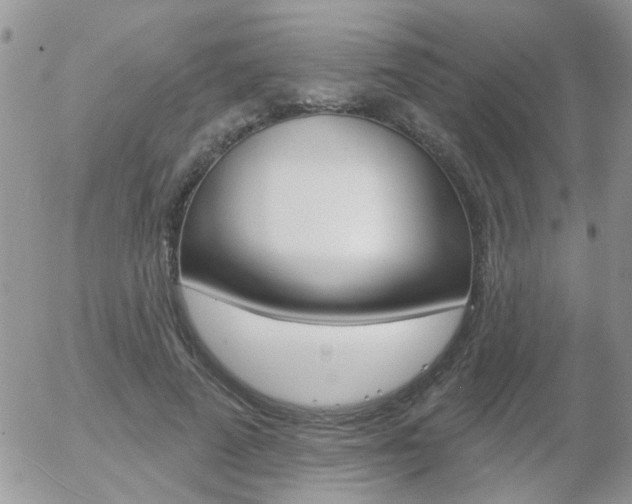 X0000058120689200509230756