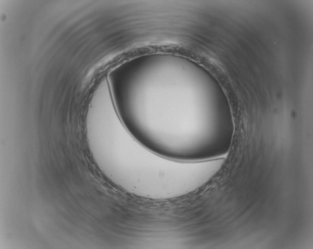 X0000058120920200509230752
