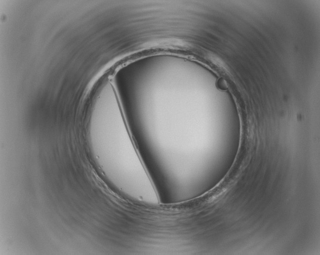 X0000058120923200509230752