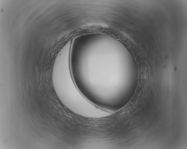 X0000058120965200509230752