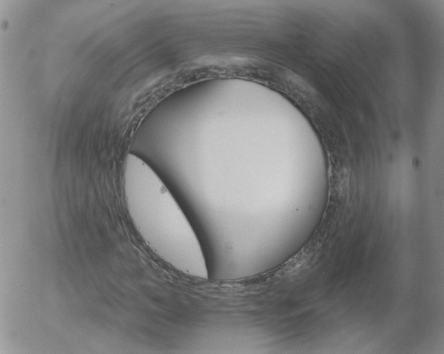 X0000058120966200509230752