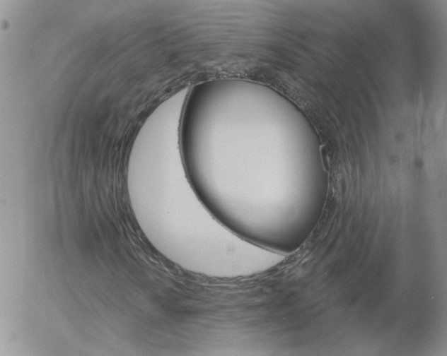 X0000058121010200509230750