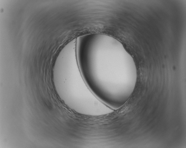 X0000058121057200509230750