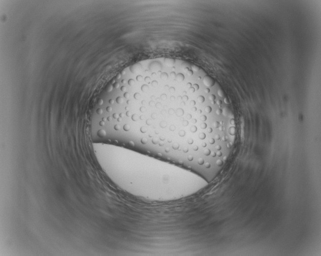 X0000058121059200509230750