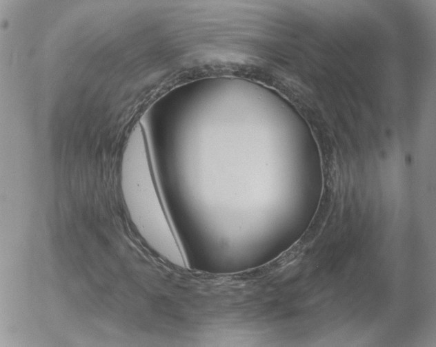 X0000058121061200509230750