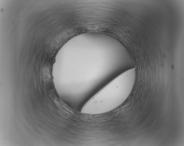 X0000058121106200509230749