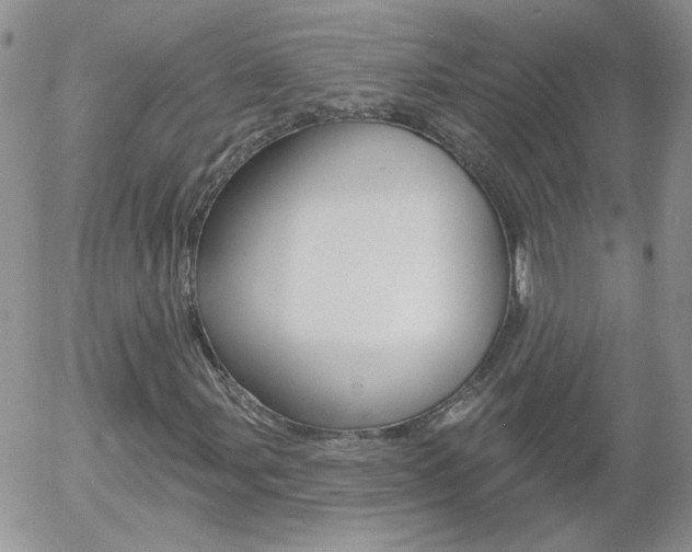 X0000058121107200509230749