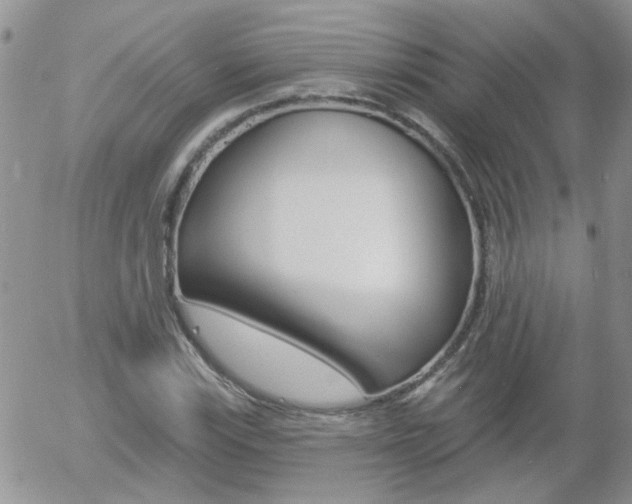 X0000058121115200509230749
