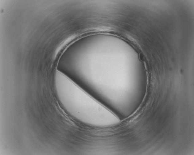 X0000058121171200509230748