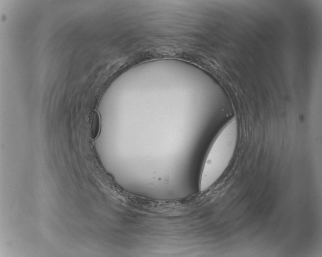X0000058121201200509230747