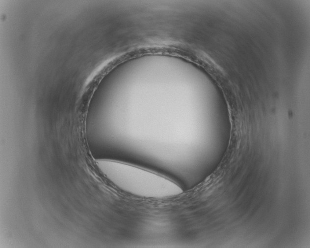 X0000058121208200509230747