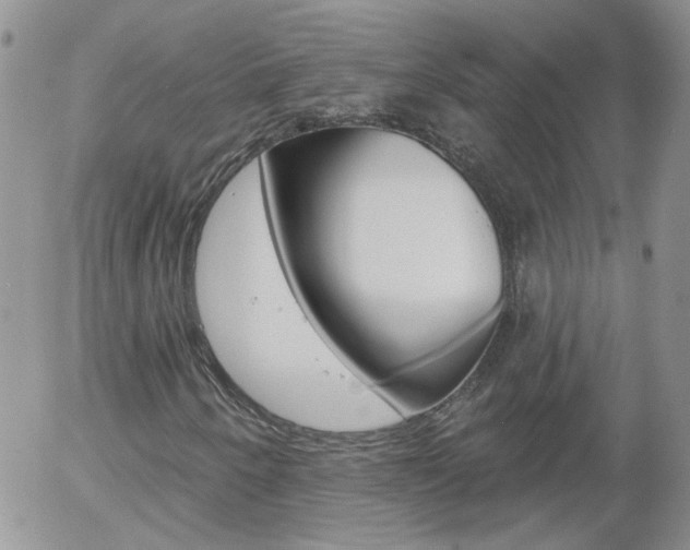 X0000058121250200509230747