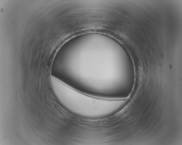 X0000058121257200509230747