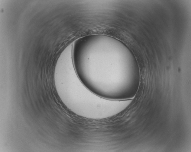 X0000058121298200509230746