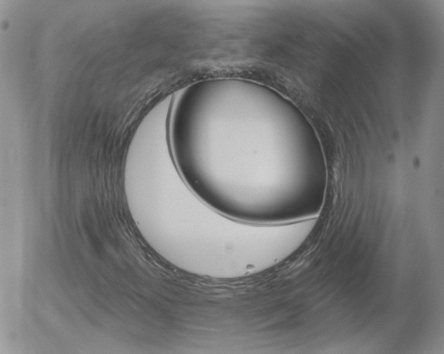 X0000058121300200509230746