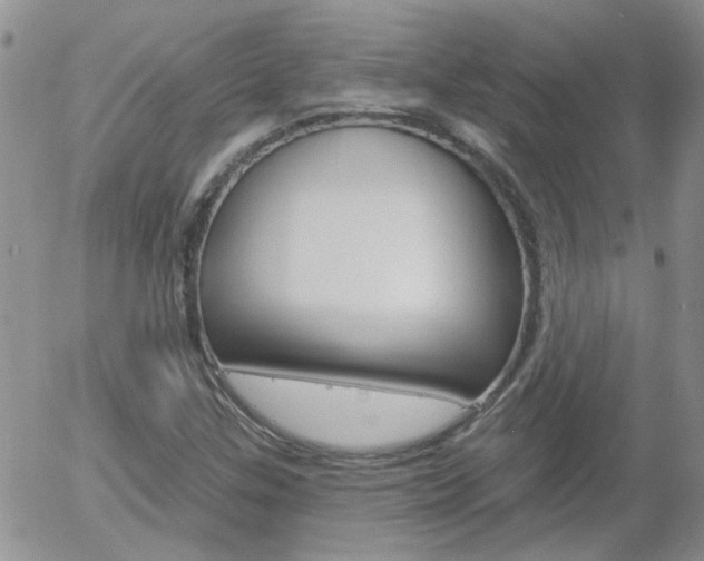 X0000058121307200509230746