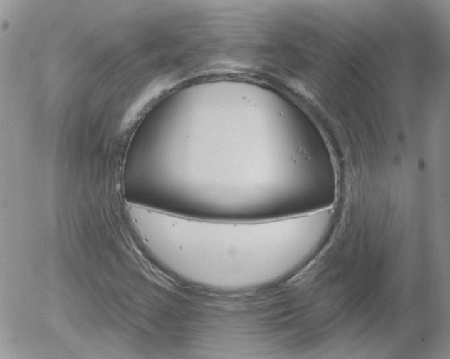 X0000058121355200509230745