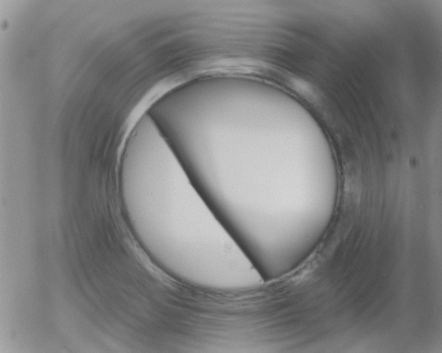 X0000058121370200509230745