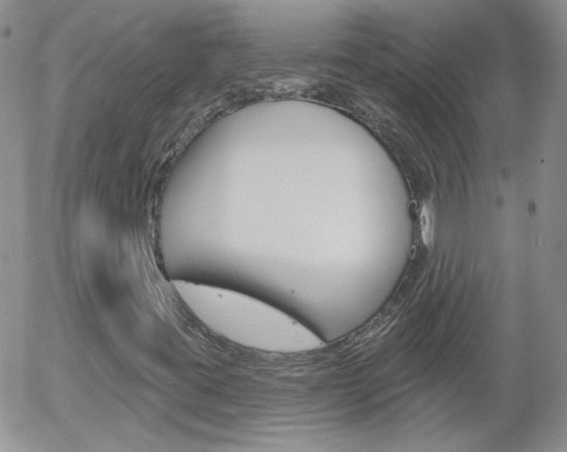 X0000058121395200509230744