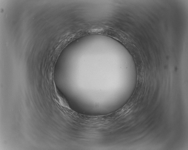 X0000058121441200509230744