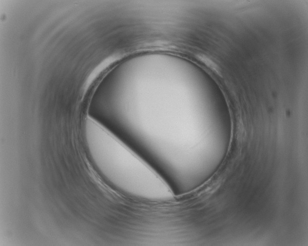 X0000058121458200509230744