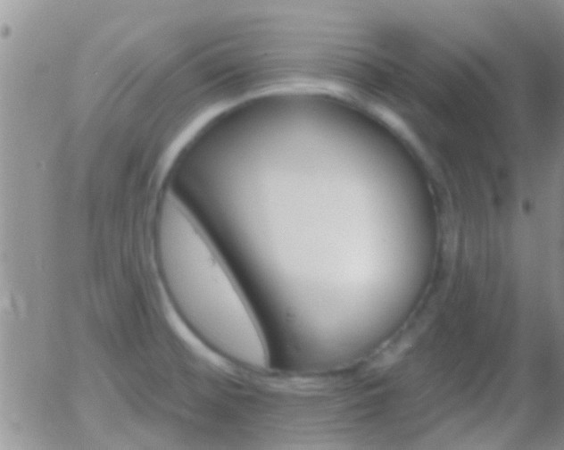 X0000058121476200509230743