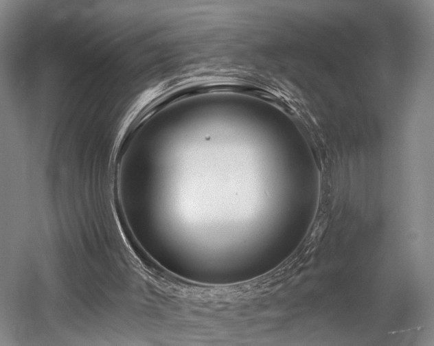 X0000058120003200509231104